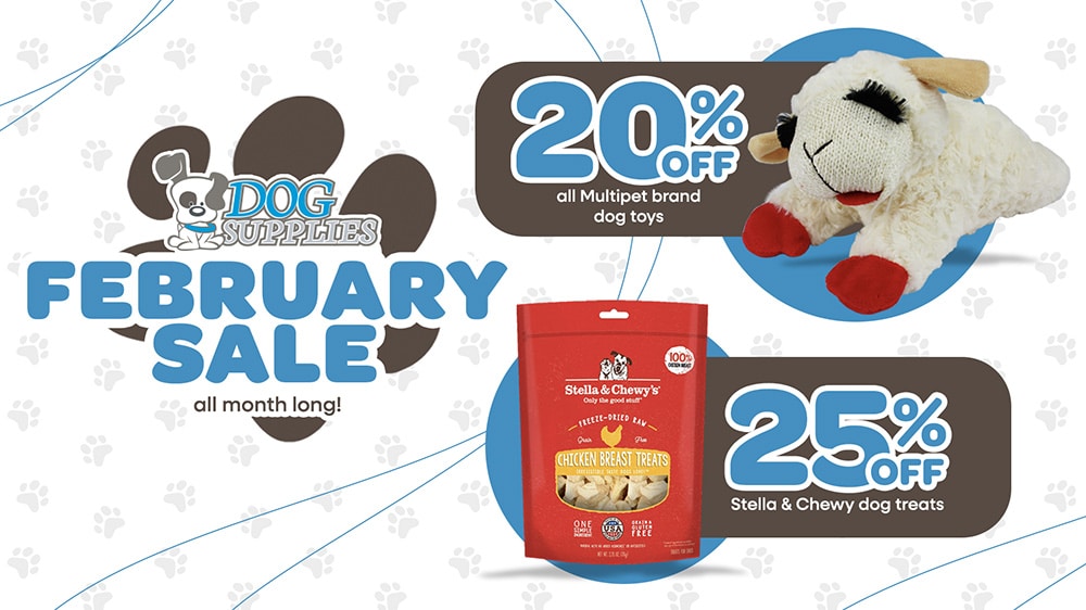 Dog Supplies Outlet February Sale