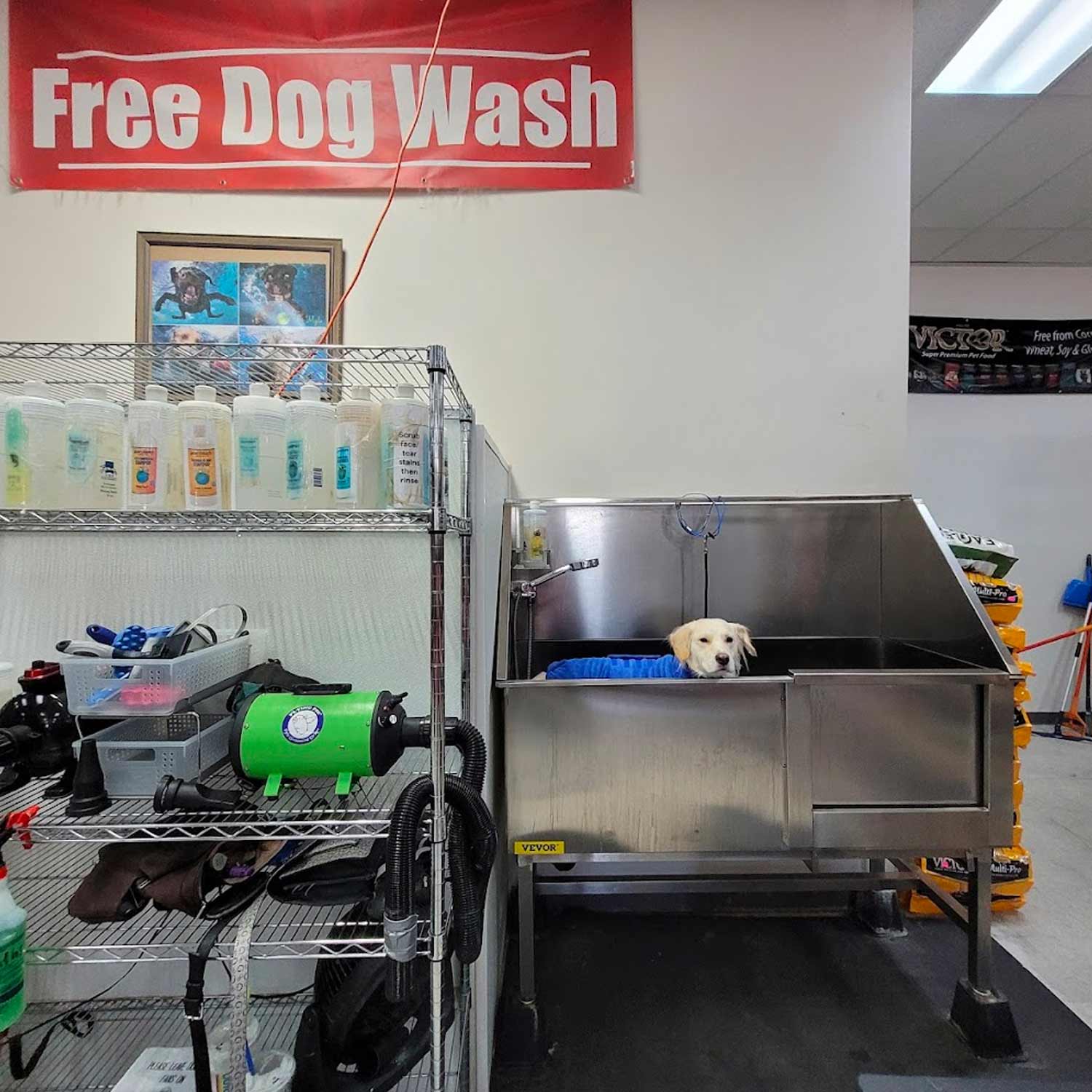 Rainbow dog supplies outlet free self wash